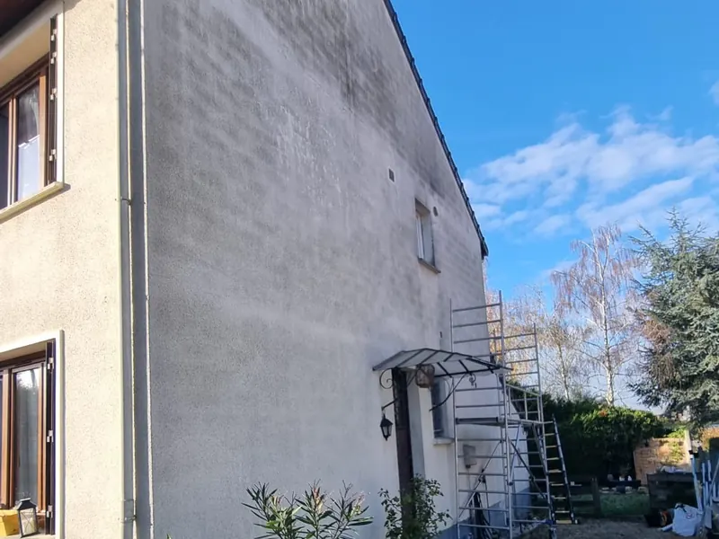 Façade blanche verdie et encrassée avant ravalement
