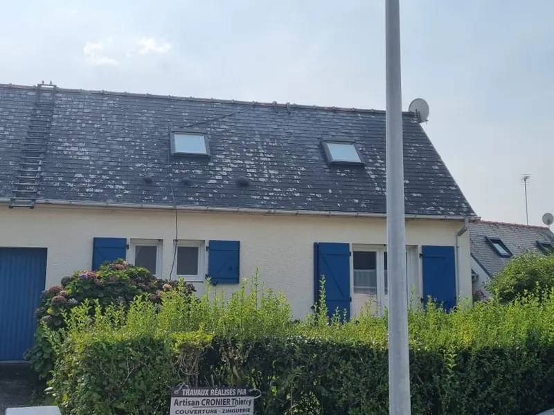 Toiture ardoise couverte de mousse et lichen avant intervention